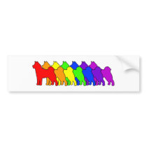 Rainbow Akita