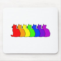 Rainbow American Shorthair