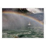 Rainbow and Niagara cards