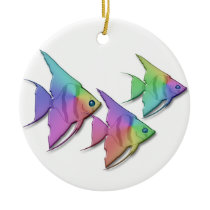 Rainbow Angel Fish