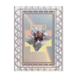 RAINBOW BEAUTY POSTCARDS