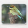 Rainbow Bee Eater 9Y209D-226 Mouse Pad