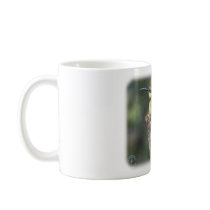 Rainbow Bee Eater 9Y209D-226 Mugs
