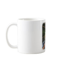 Rainbow Bee Eater 9Y209D-236 Mugs