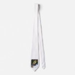 Rainbow Bee Eater 9Y209D-236 Necktie