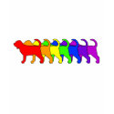 Rainbow Bloodhound t-shirts