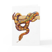 Rainbow Boa Constrictor Snake Card