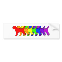 Rainbow Border Terrier