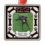 Rainbow Bridge Keepsake Ornament