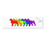 Rainbow Brittany Spaniel