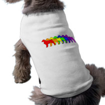 Rainbow Brittany Spaniel