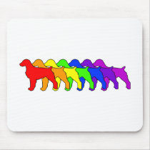 Rainbow Brittany Spaniel