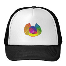 Rainbow butterfly skull trucker hat
