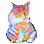 Rainbow Cat t-shirts