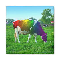 Rainbow Cow Refrigerator Magnet