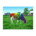 Rainbow Cow postcards