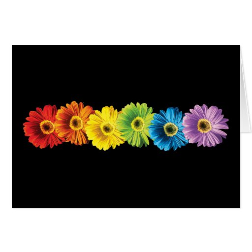 Rainbow Daisies Card