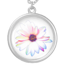 Rainbow daisy