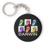 Rainbow Darwin keychain