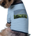 Rainbow pet clothing