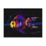Rainbow Fish postcard Postcard