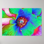 'Rainbow' Flower Framed Print Poster
