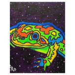 Rainbow Frog 2 by Piliero flyers