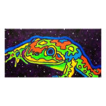 Rainbow Frog 2 by Piliero photo cards