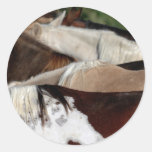Rainbow Horses Stickers