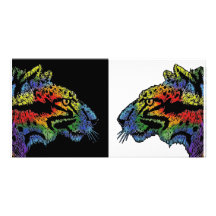 Rainbow leopard photocard photo cards