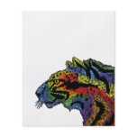 Rainbow leopard (white) flyer 4.5" x 5.6"