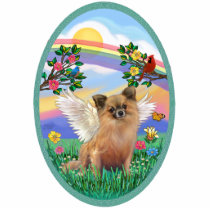 Rainbow Life - Long Haired Chihuahua Photo Cut Out