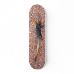 Rainbow Lizard skateboards