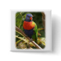Rainbow Lorikeet 9Y209D-069 buttons