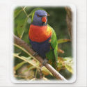 Rainbow Lorikeet 9Y209D-069 mousepads