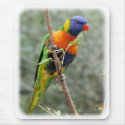Rainbow Lorikeet 9Y209D-157 mousepads