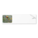 Rainbow Lorikeet 9Y209D-159 bumper stickers
