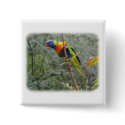 Rainbow Lorikeet 9Y209D-159 buttons
