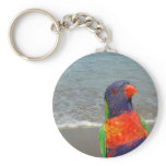 Rainbow Lorikeet ~ Keychain