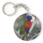 Rainbow Lorikeet Keychain