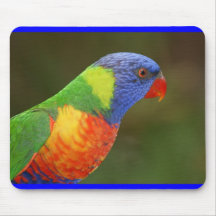 Rainbow Lorikeet Mousepad