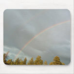 rainbow mouse pads
