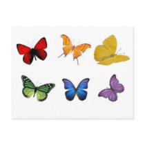 Rainbow of Butterflies Post Cards
