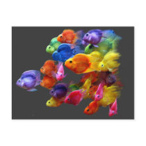 Rainbow of Parrotfish