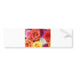 Rainbow of Roses