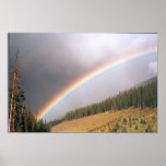 Rainbow on 91 posters