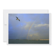 Rainbow over river bridge with seagull photo invites