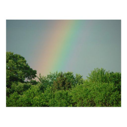 Rainbow Over The Trees Motivational Postcard