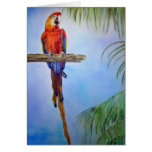 Rainbow Parrot Bird Palm Tree Watercolor Painting cards