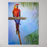 Rainbow Parrot Watercolor Painting Fine Art posters